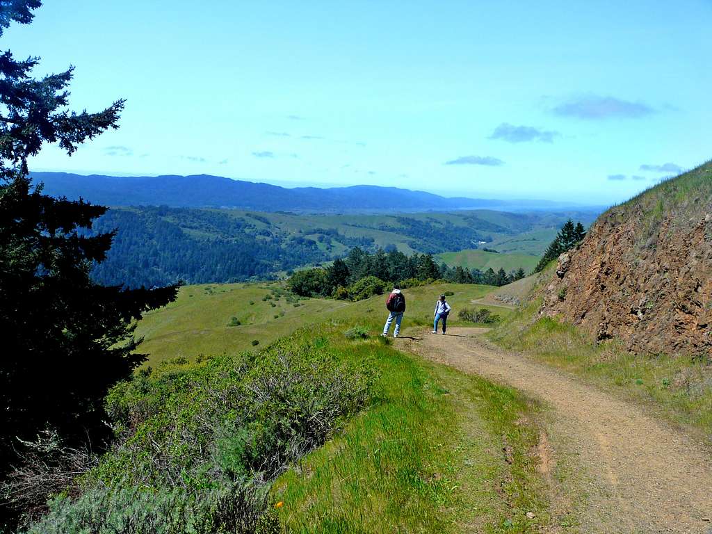 Hikers on the Barnabe Mtn. Fire Road