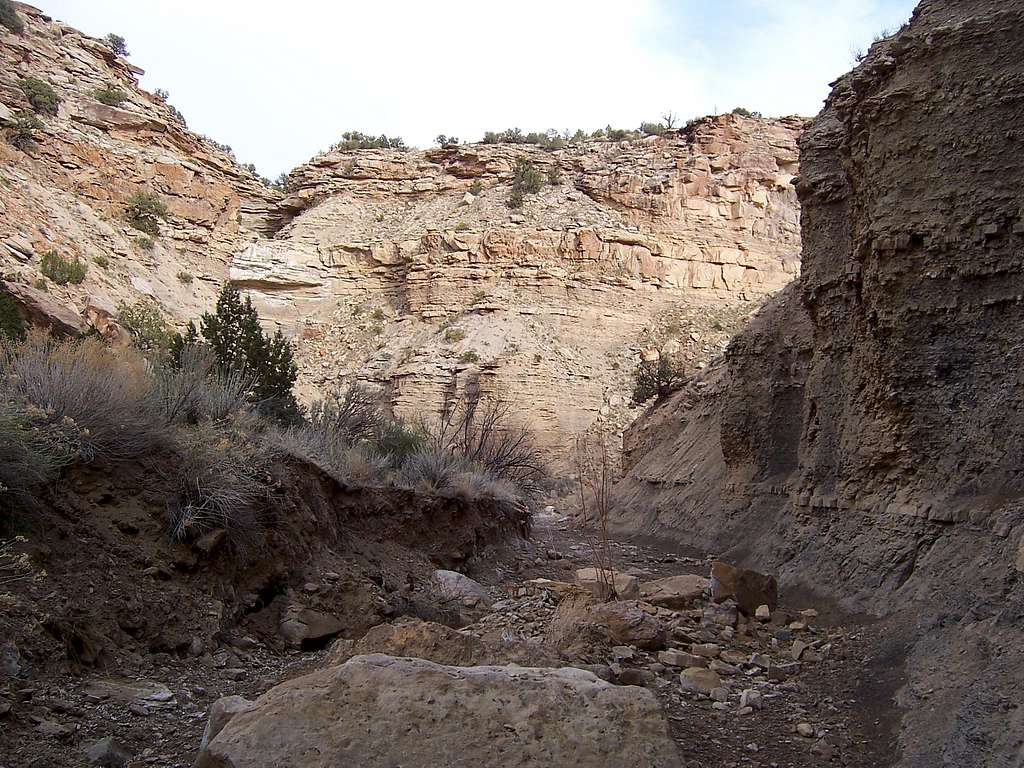 Lower Sagers Canyon