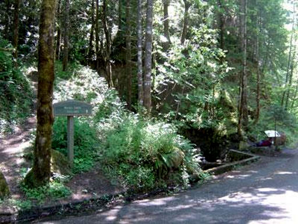 Ruckel Creek Trail