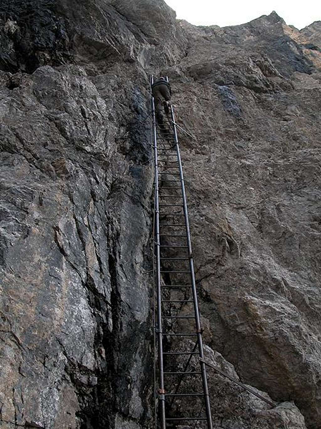The long ladder (15m, 50...