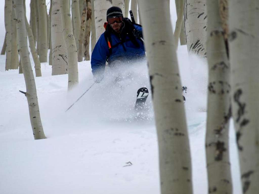 Skiing the trees