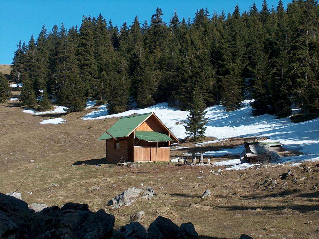 The hut 