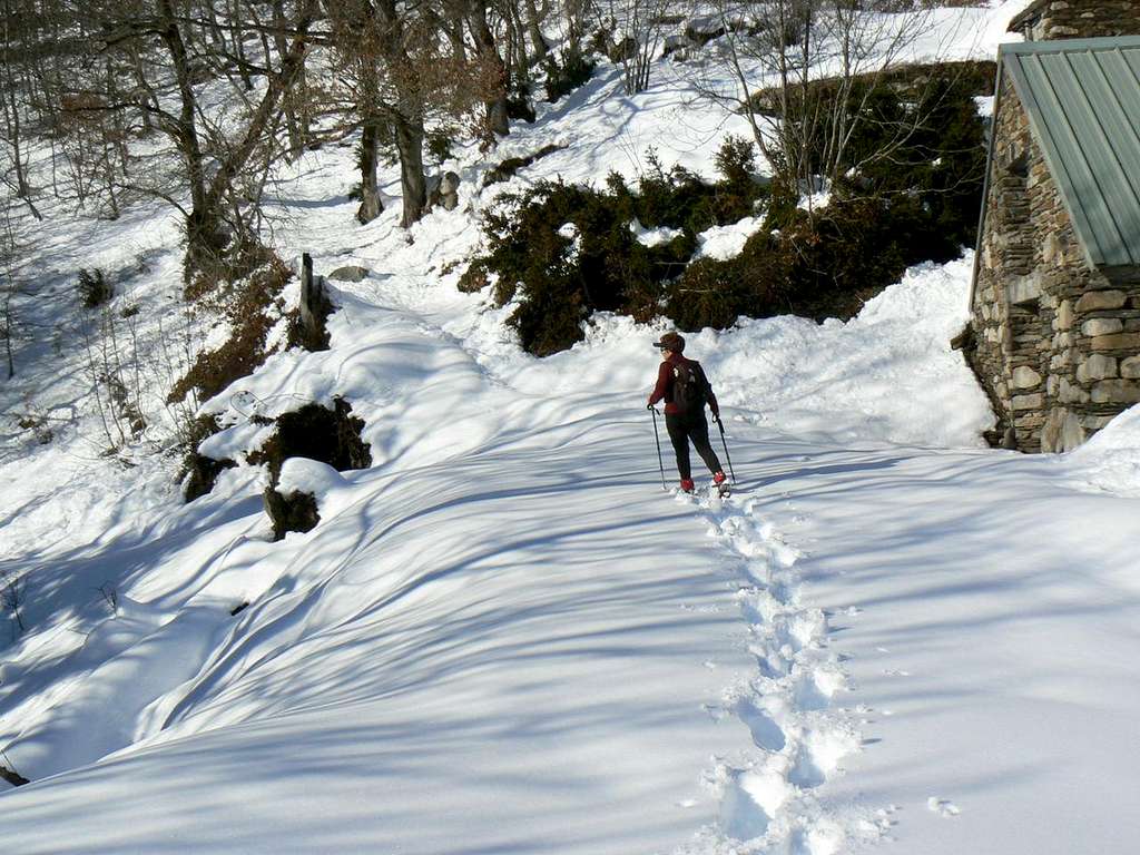 Snowy Pyrenees