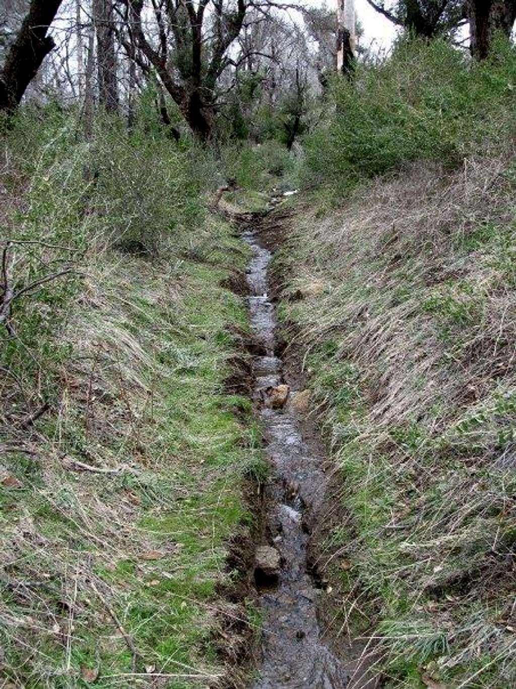 Trail is a stream