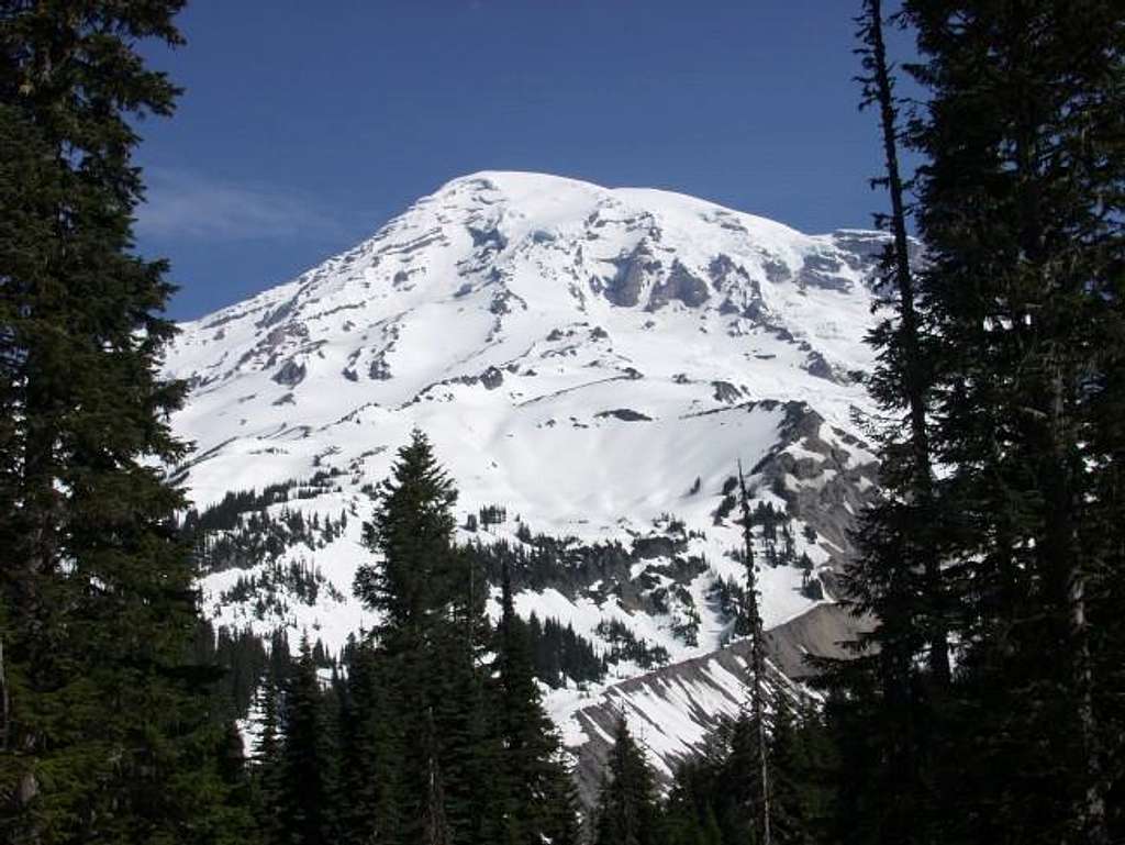 Mt. Rainier's SW face. Photo...