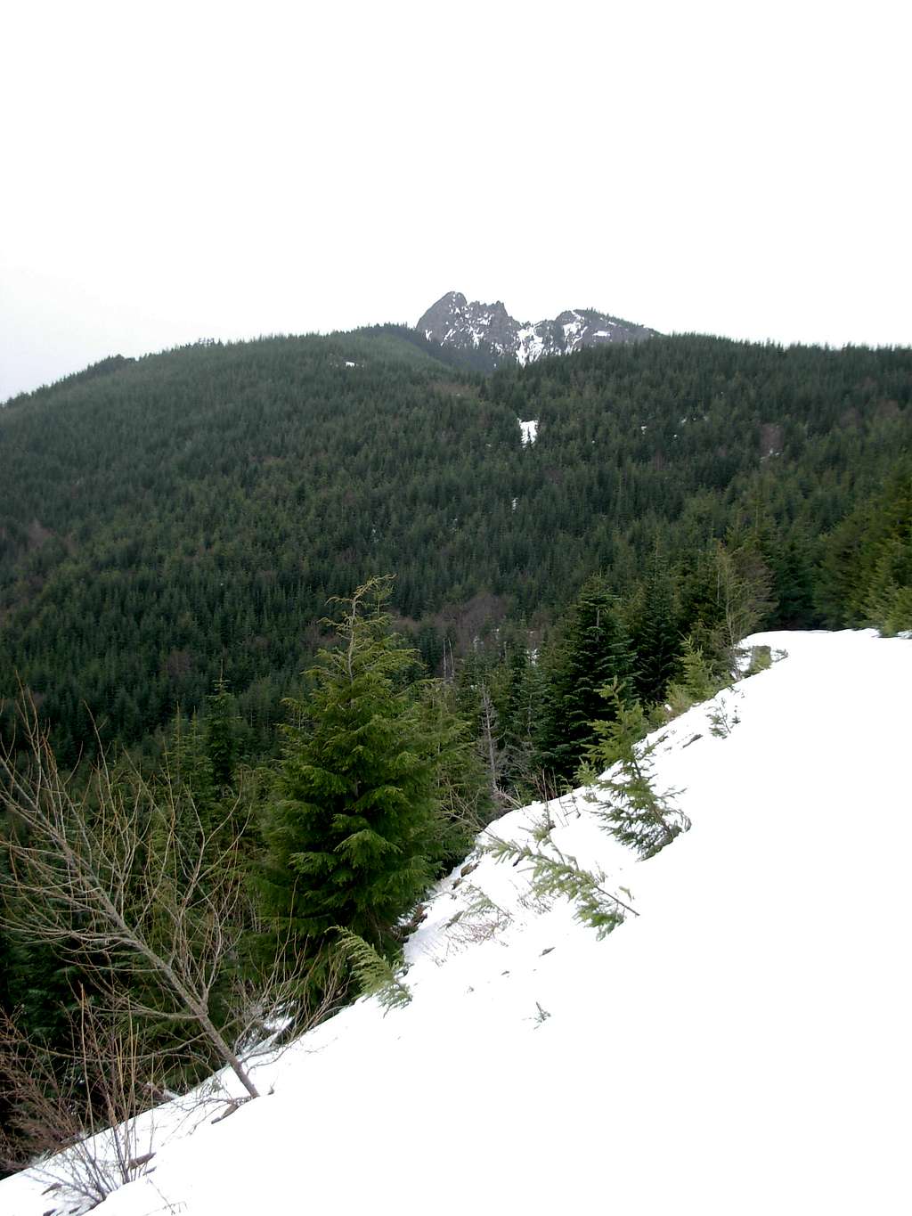 Mount Teneriffe Road-Trail