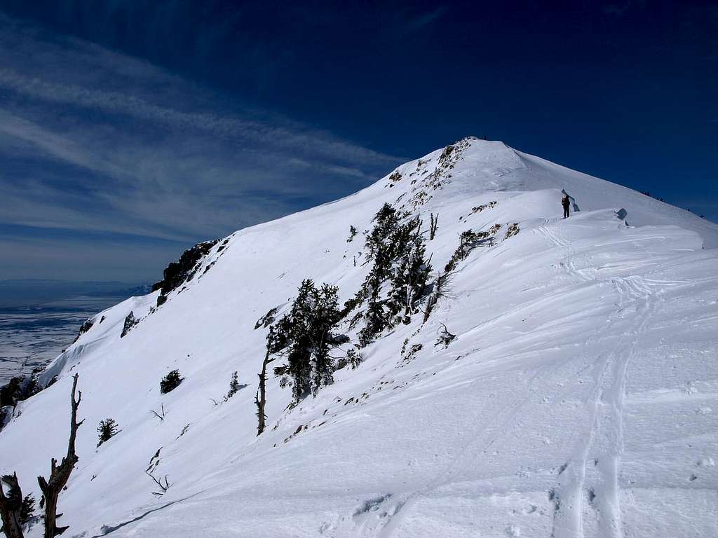 Ben Lomond summit ridge