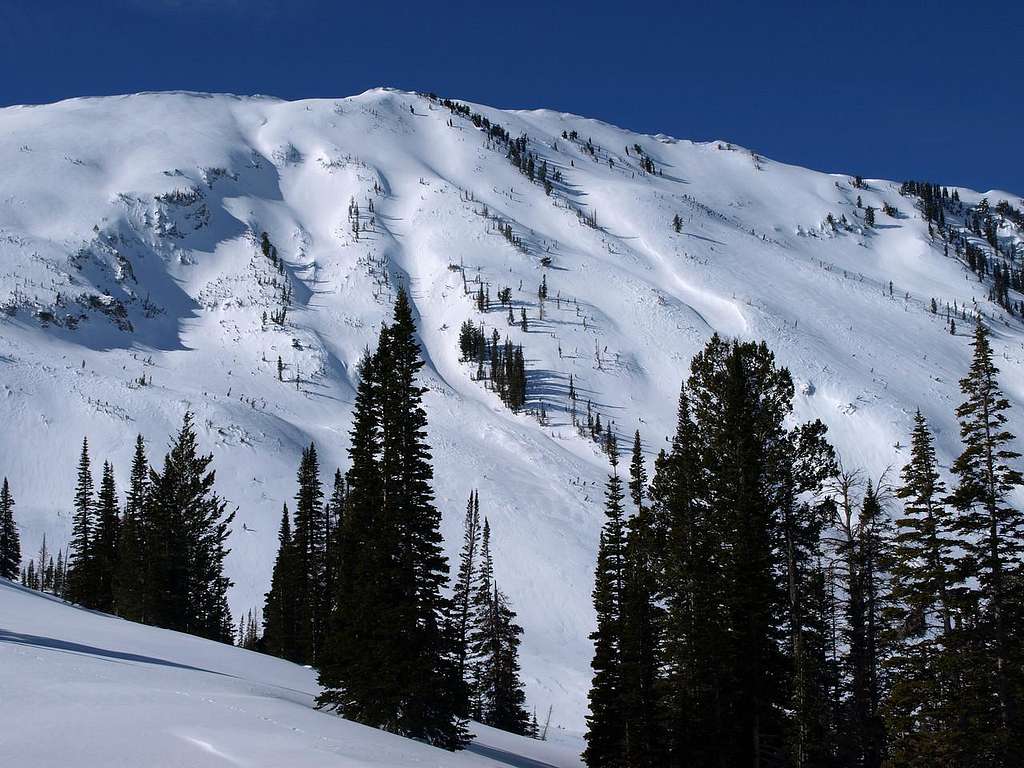 Ben Lomond northeast face