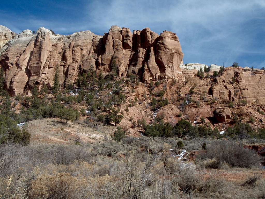 2009 New Mexico