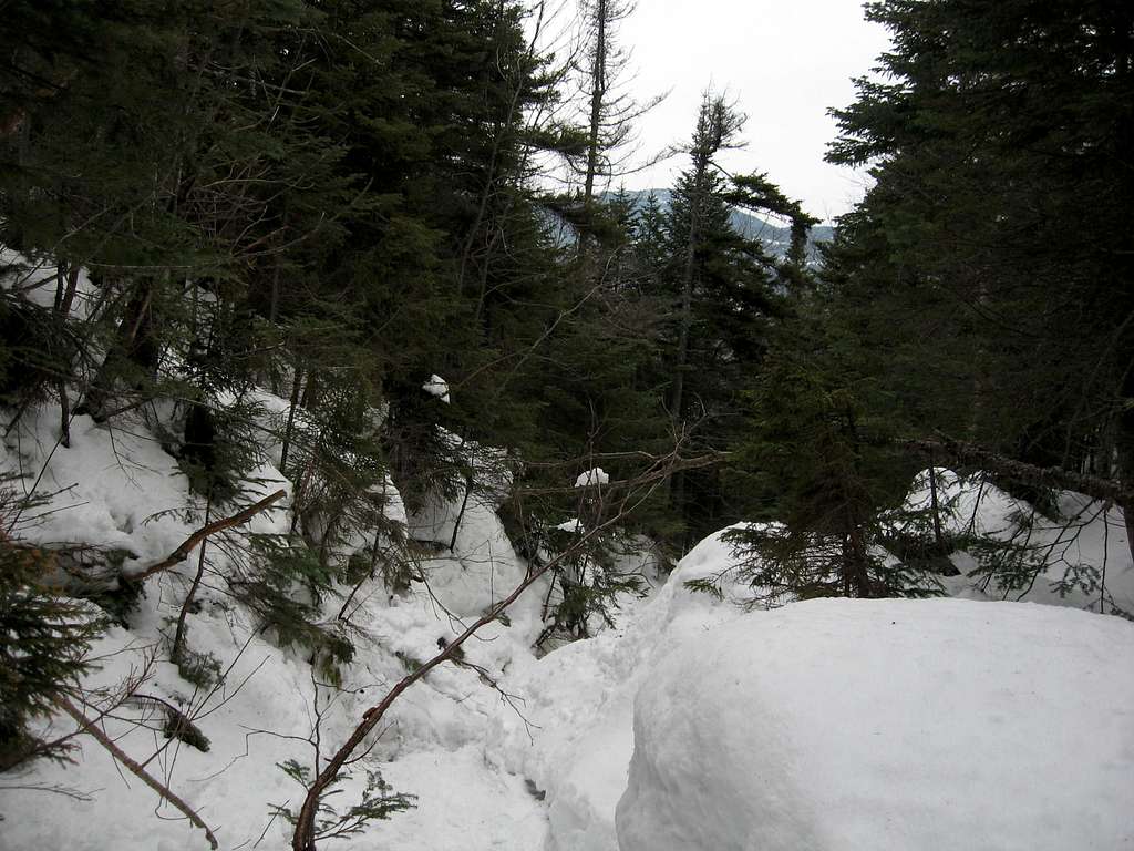 The Trail to the Summit