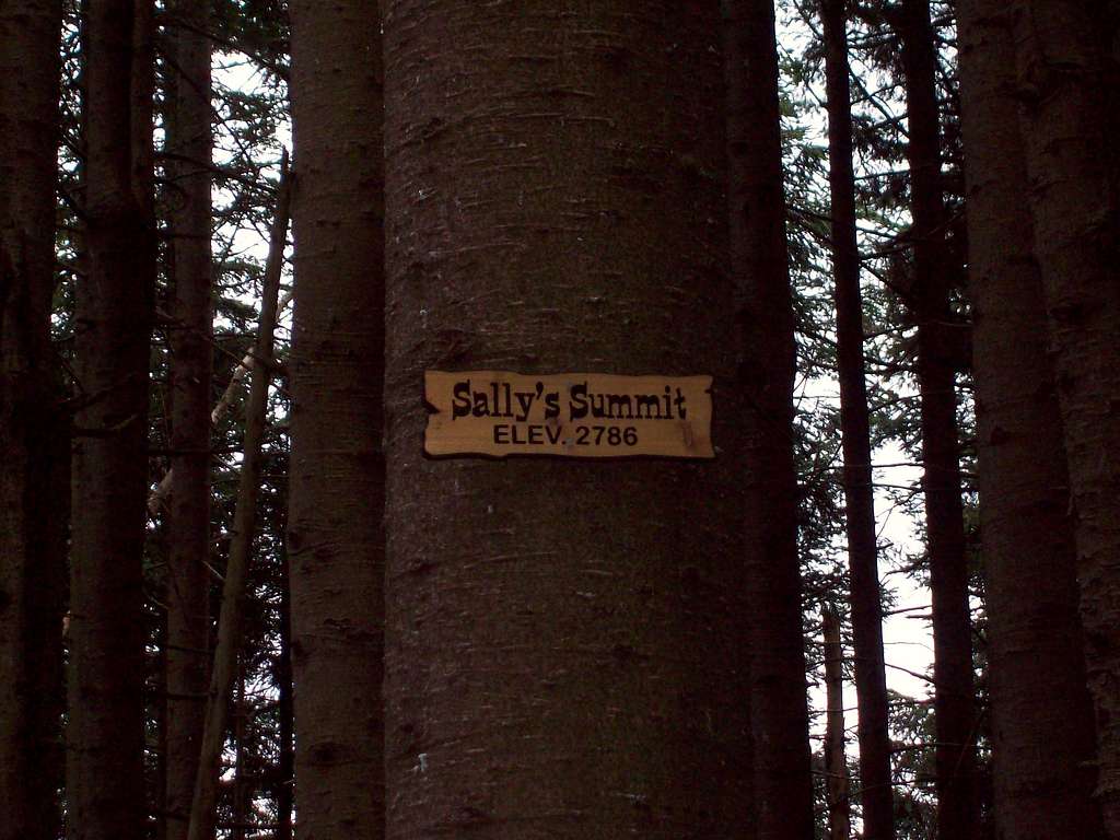 The summit sign