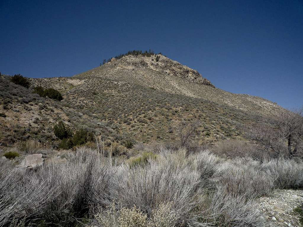 Peak in Cross Mountain's East Ridge