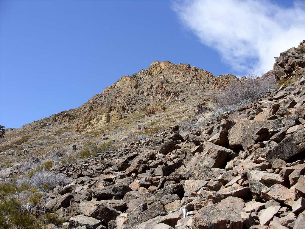 View up the lower boulder field
