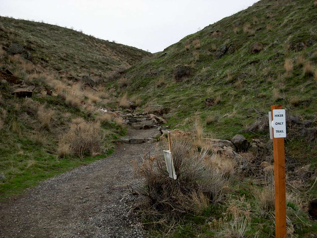 Badger Mountain - Canyon Trail