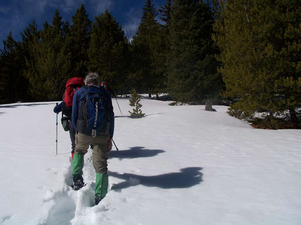 Snowshoeing along the northeast slope