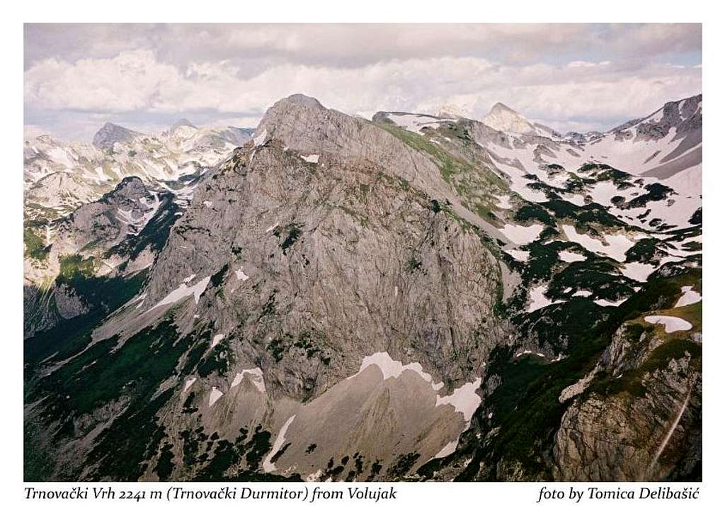 Tnovacki Durmitor from Volujak