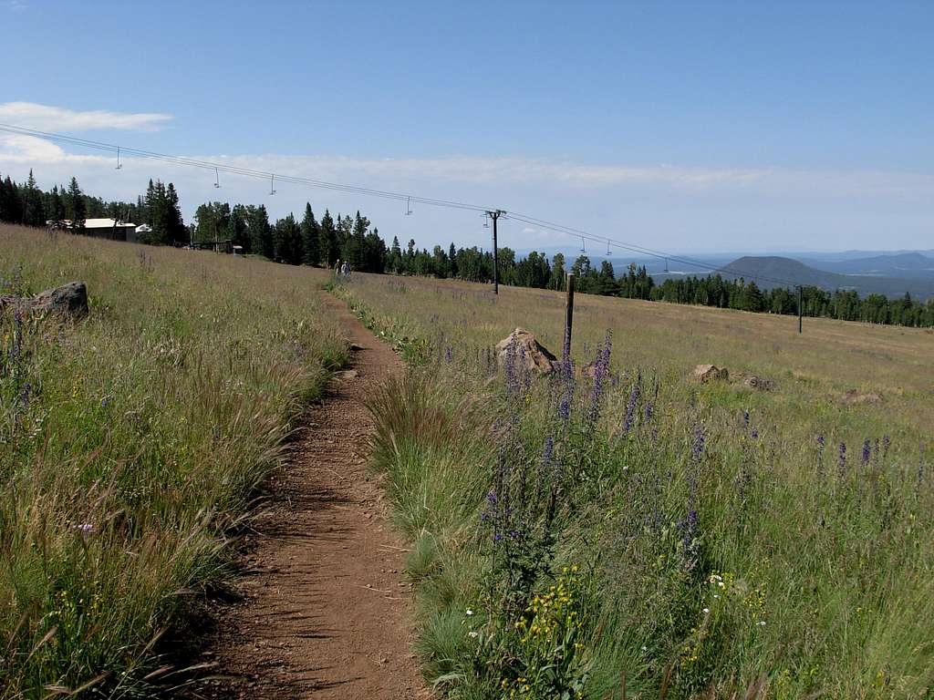 Humphreys Trail