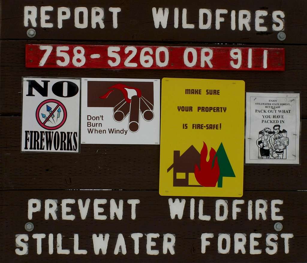 Report Wildfires