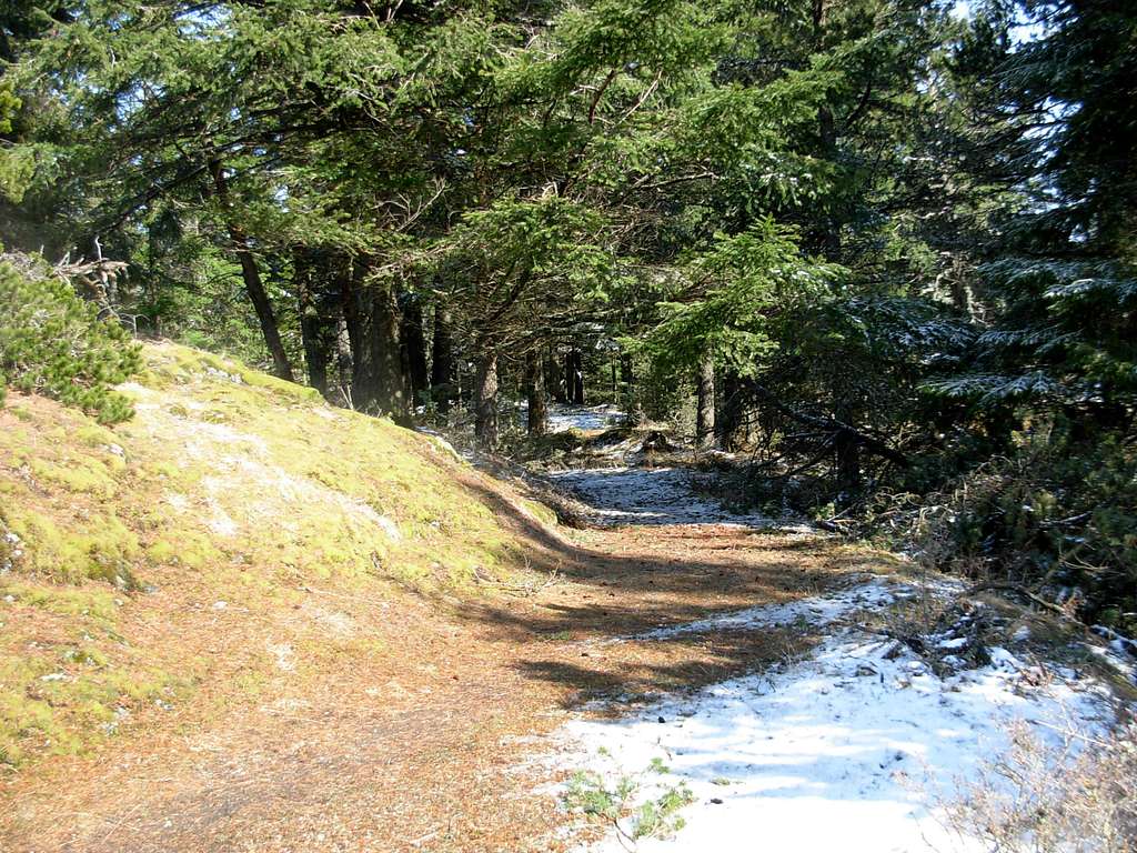 Little Summit Trail