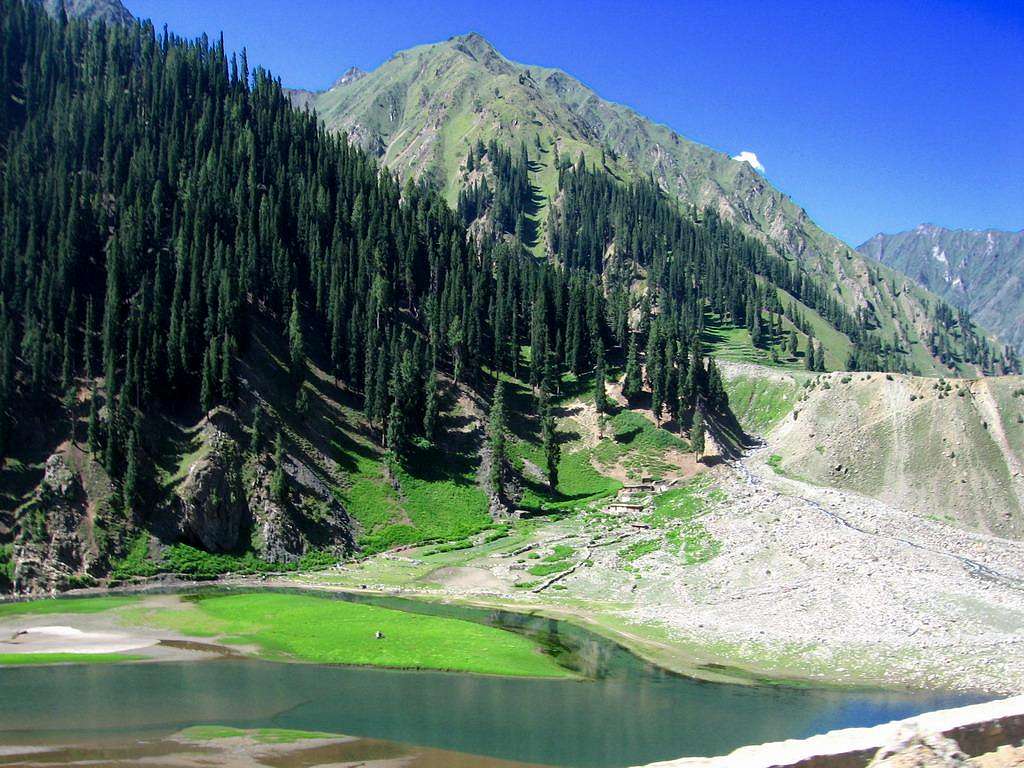 Naltar Valley, Near Gilgit