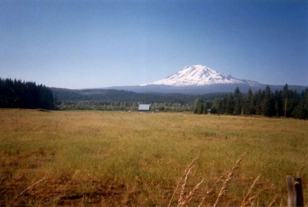 Mt Adams from Trout Lake....