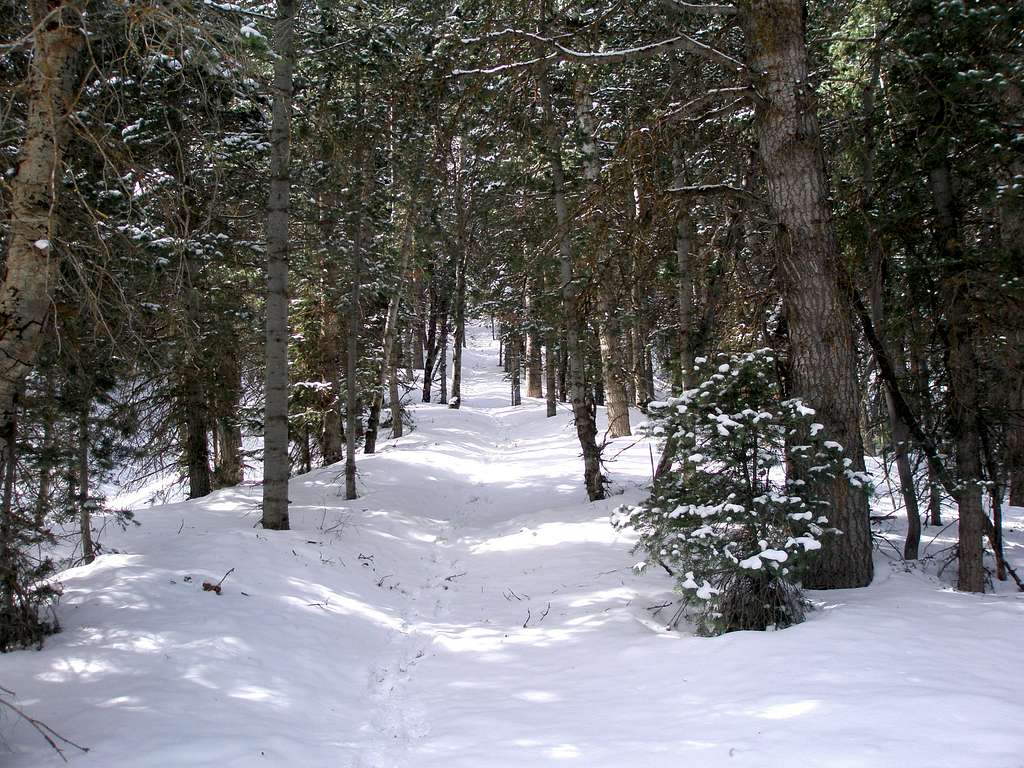 Tibble Fork Trail