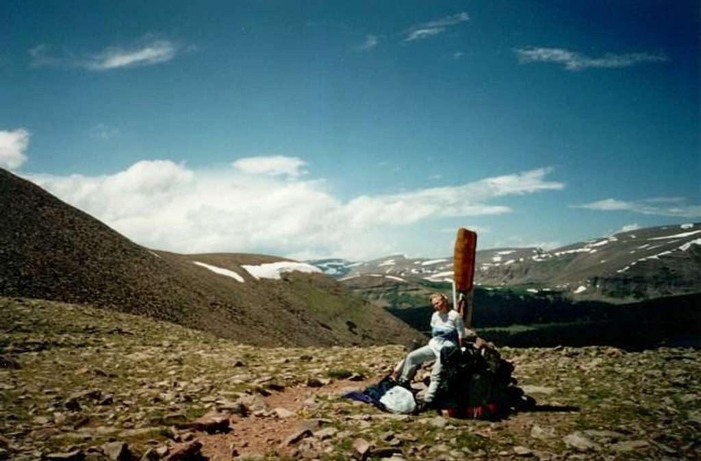 Fox-Quent Pass is NE of Mount...