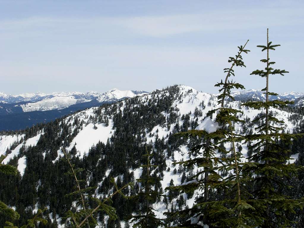 Dixie Peak, From Blowdown Summit