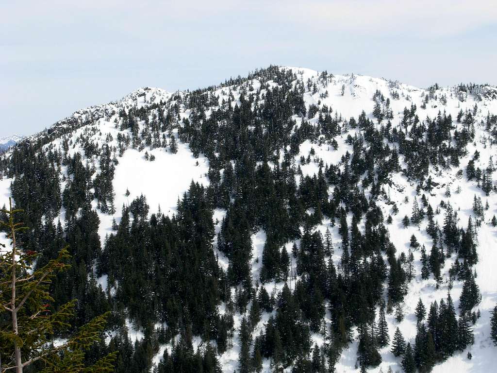 Dixie Peak From C.L.M. Summit