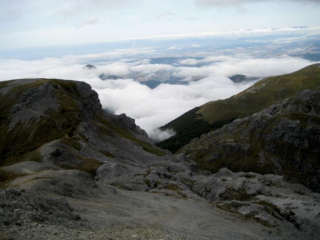 Mt Arthur Summit View East