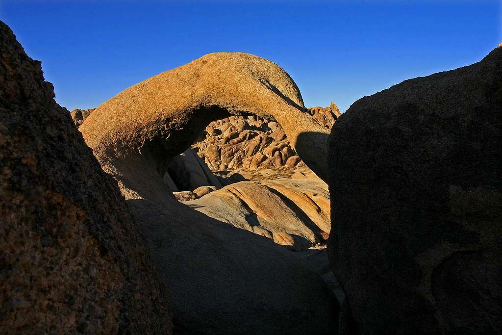 More Heart Arch