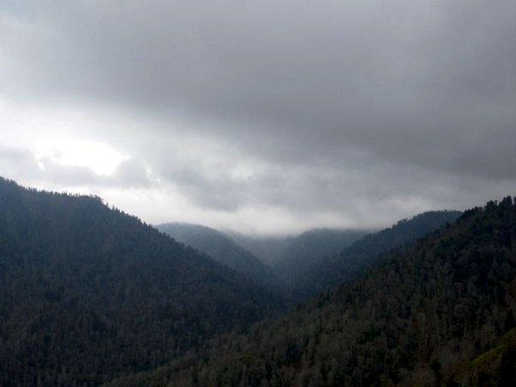 On Top of Chimney Tops