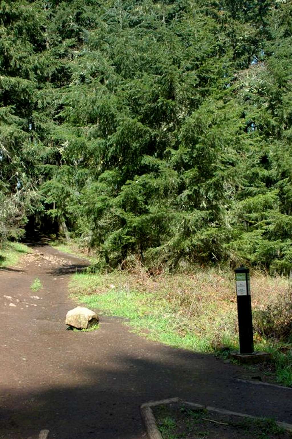 Trail Intersection