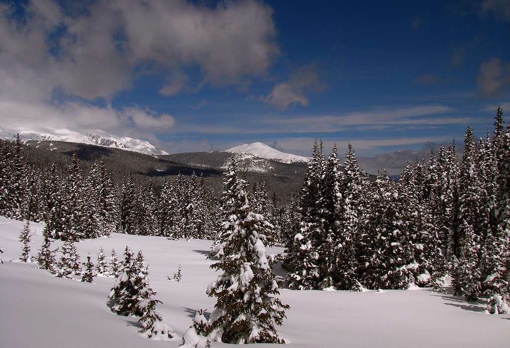 Medicine Bow Range