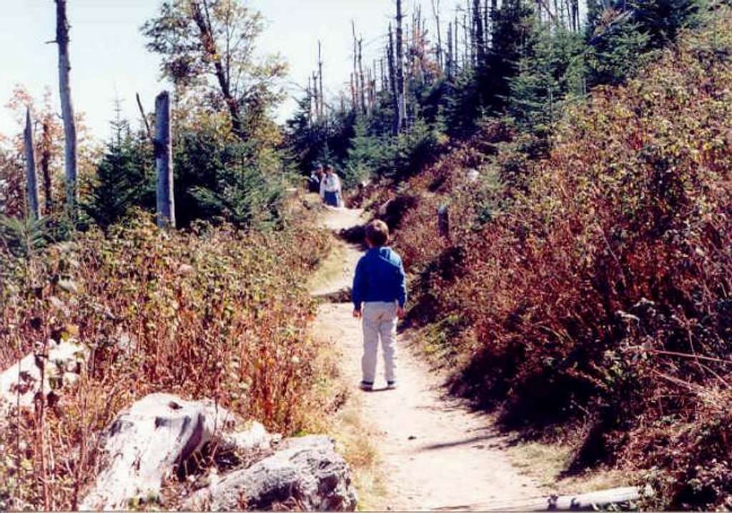 My son, Andy, on the trail to...