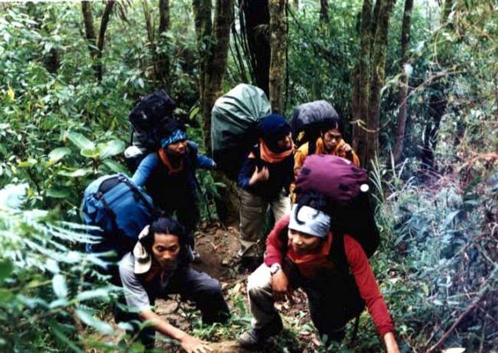 route of Agung's rain forest