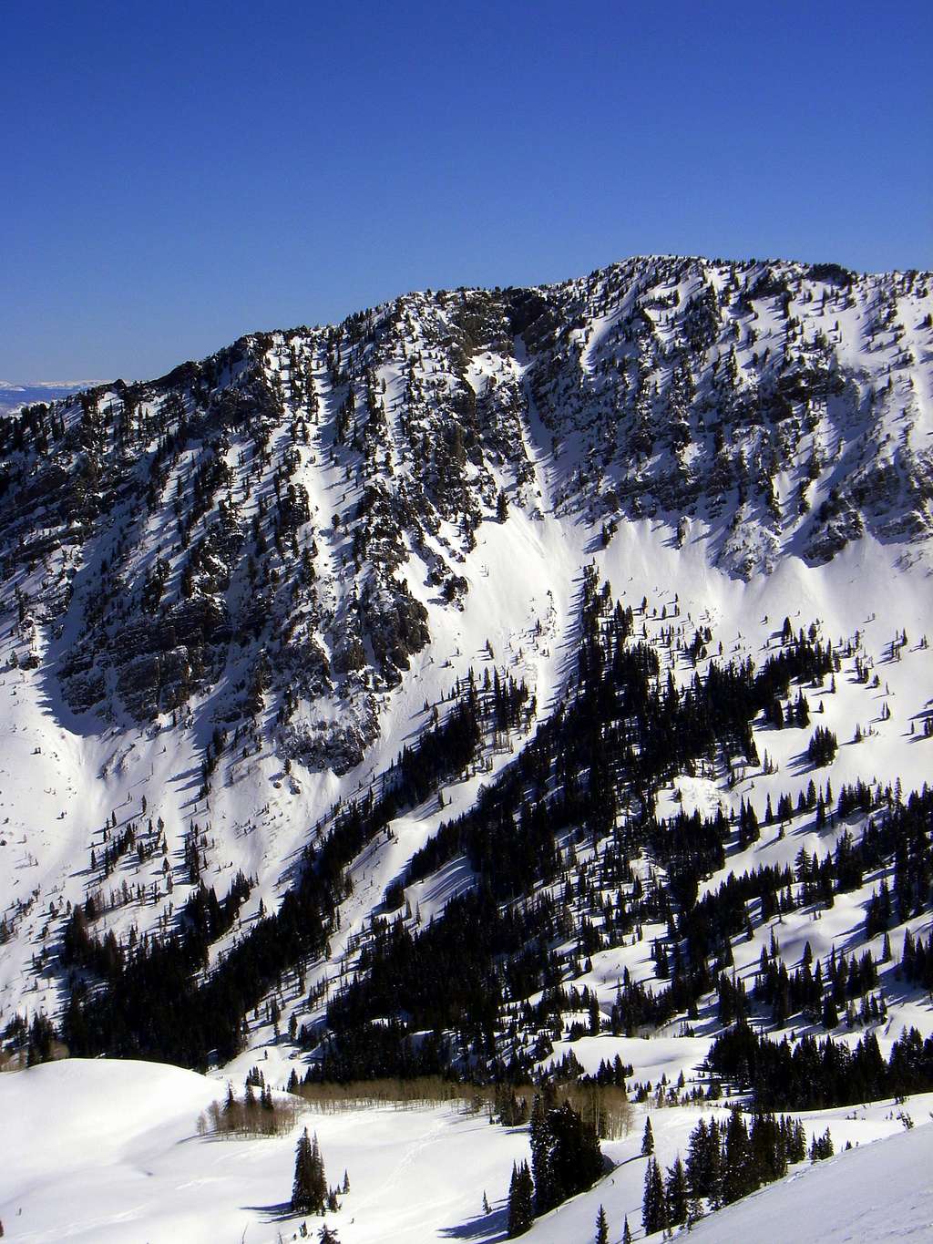 The Hallway Couloir