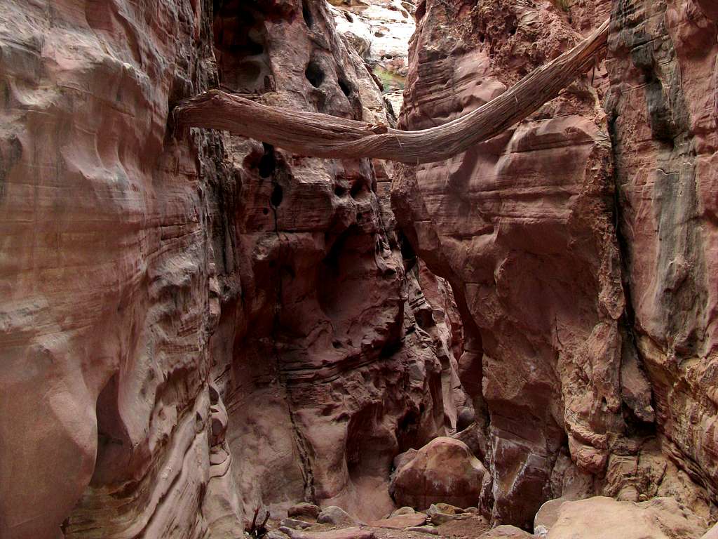 Jammed Log in Crack Canyon