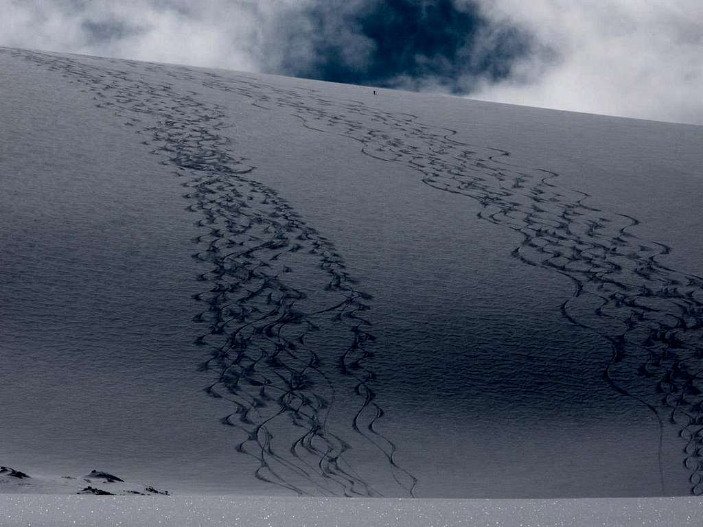Tracks on Blanket Glacier