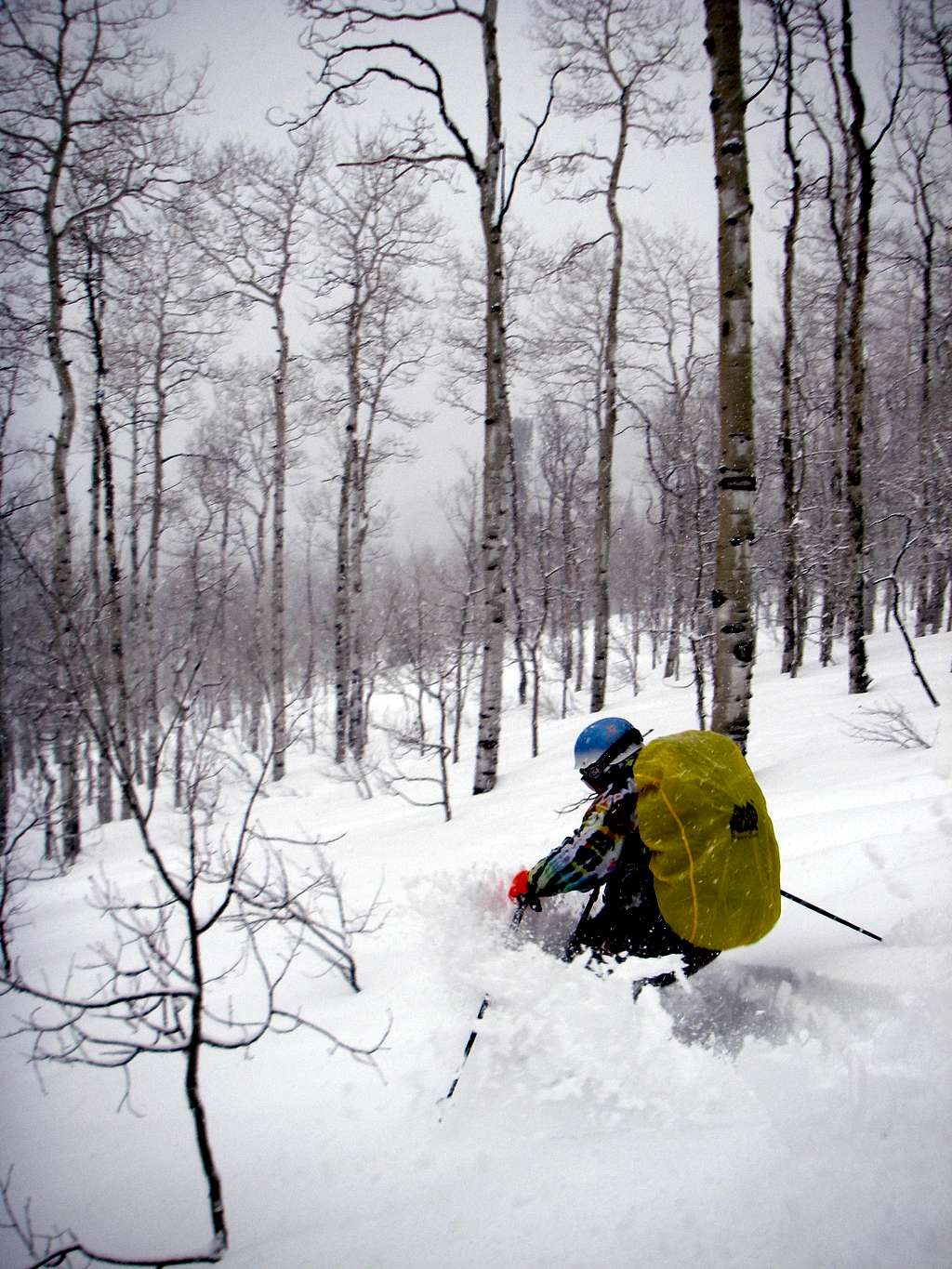 Skiing Willow Fork