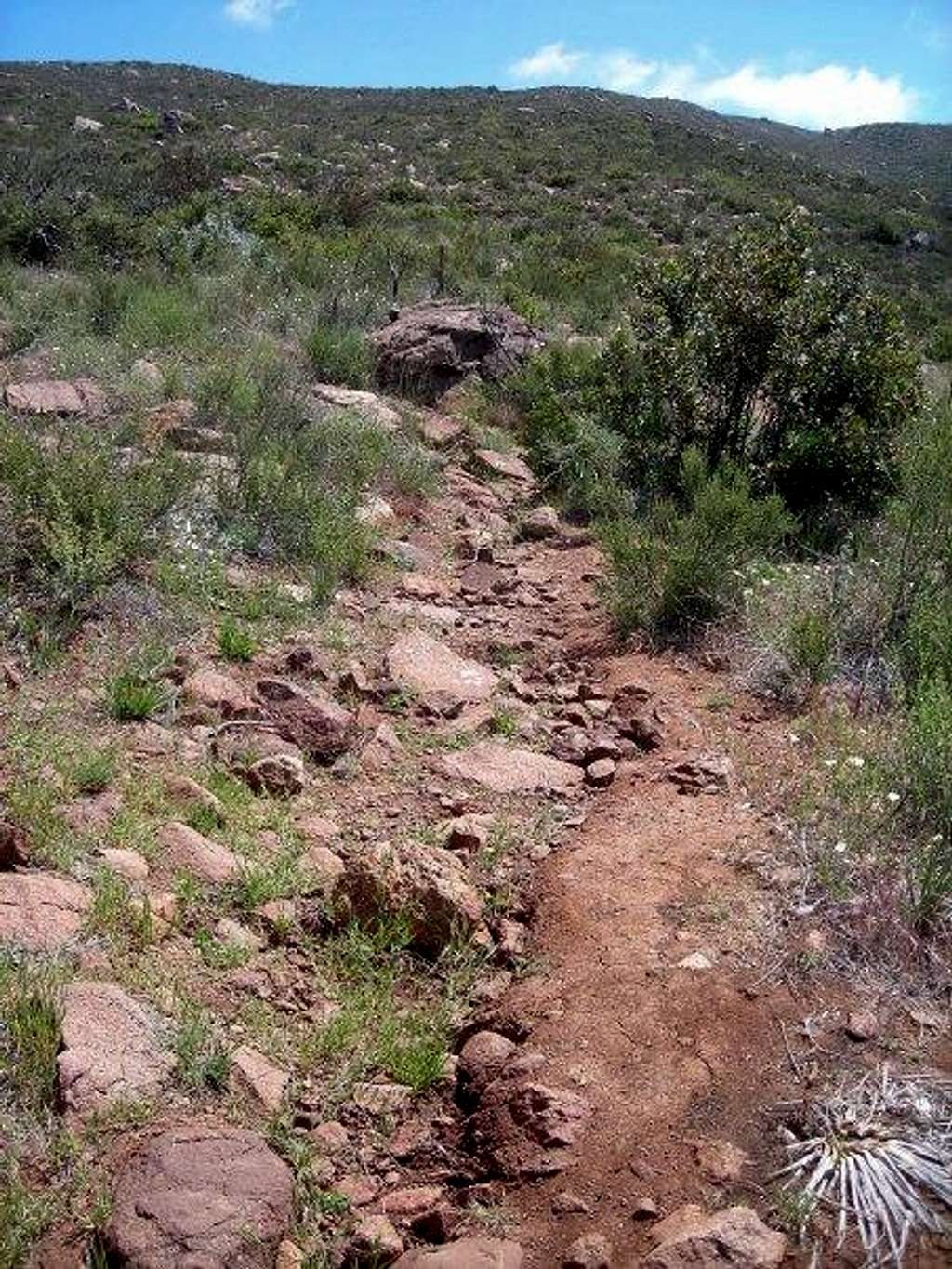 The Viejas Mtn trail