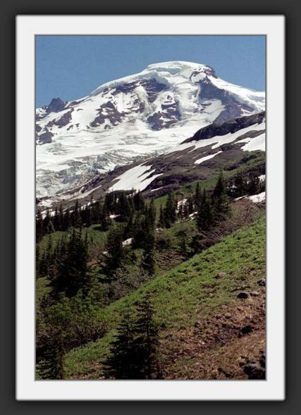 Coleman Glacier from the...