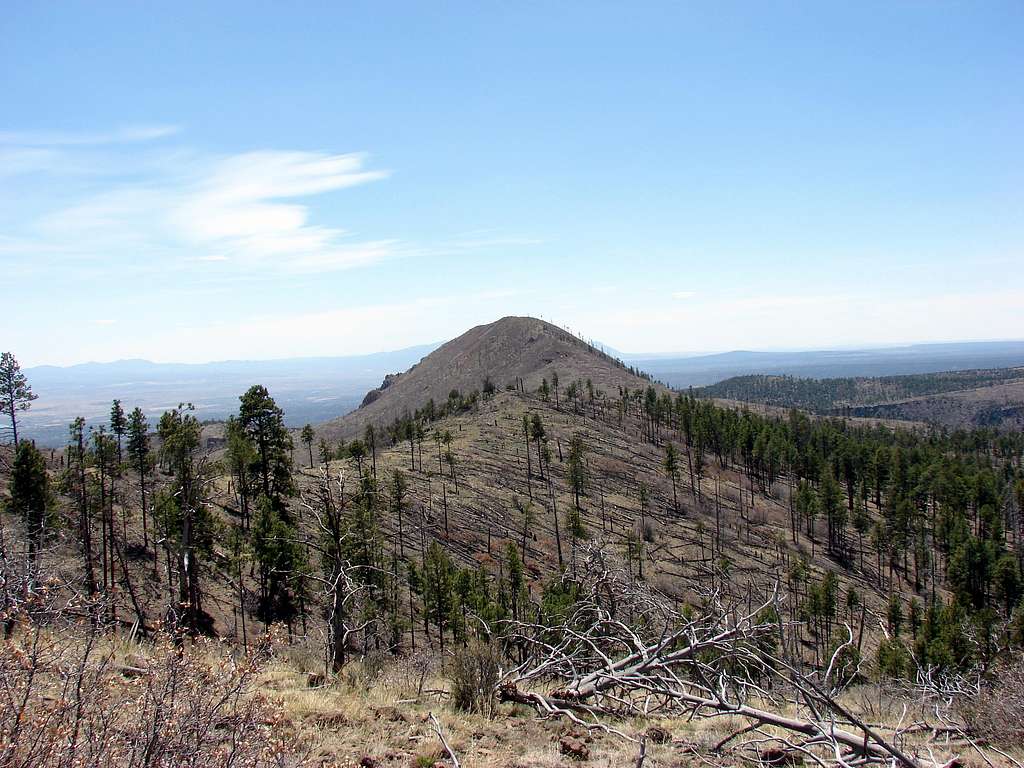 Cerro Picacho