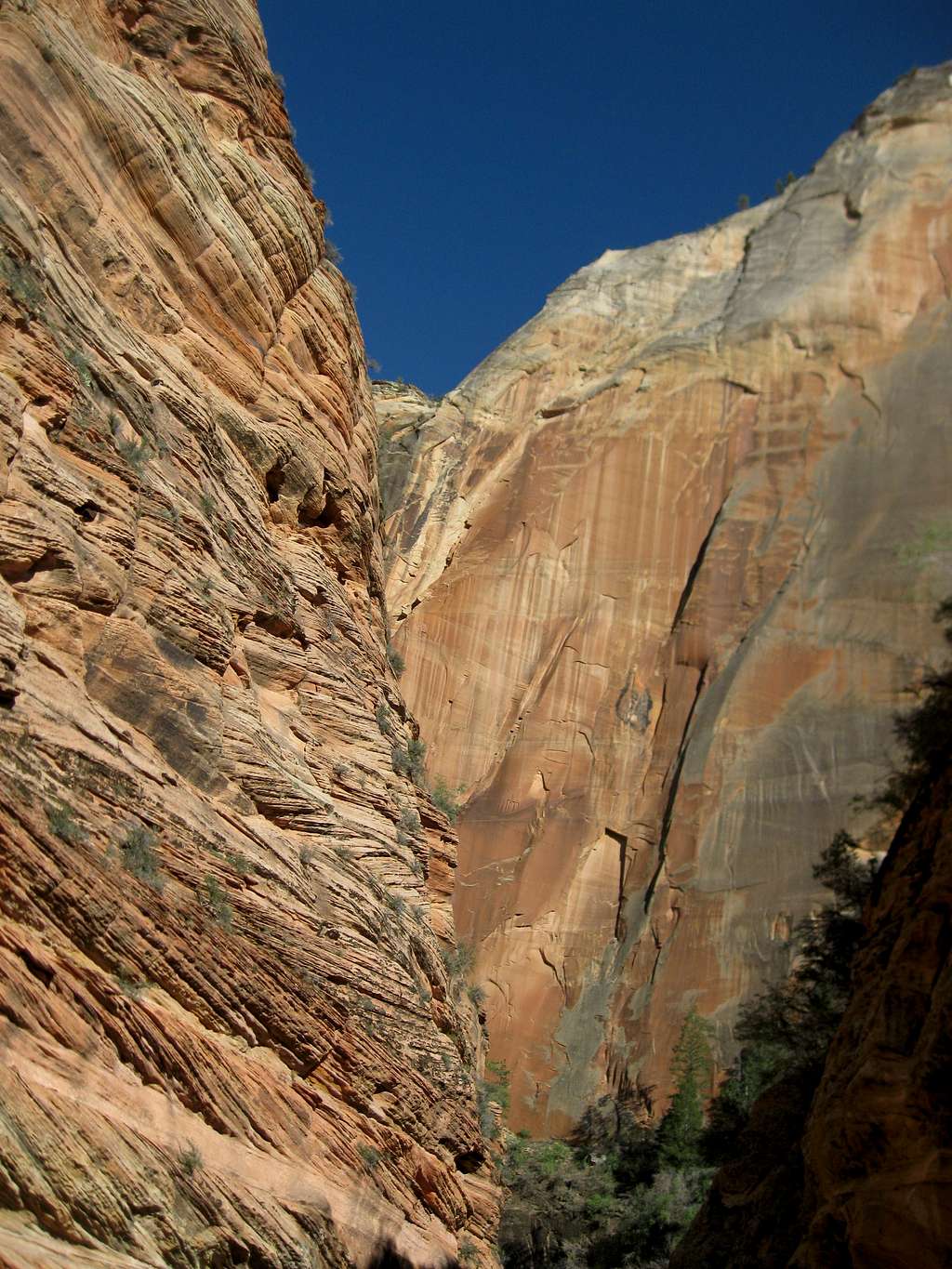 Zion National Park