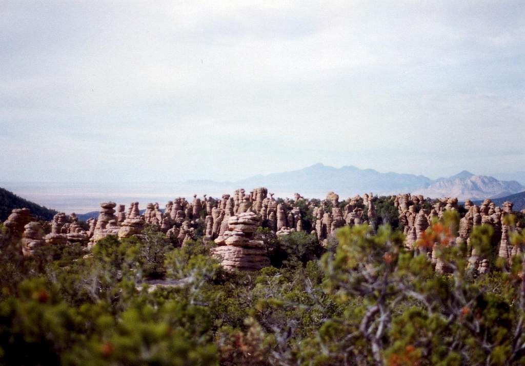 Chiricahua Mountains, AZ