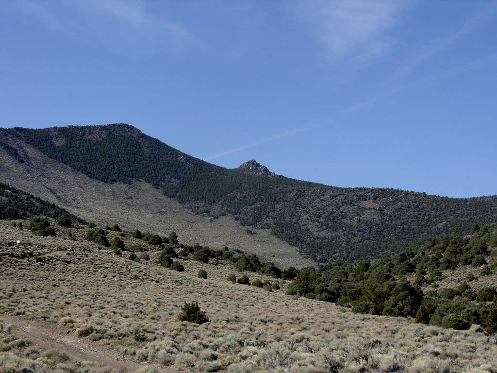 The summit from the trailhead