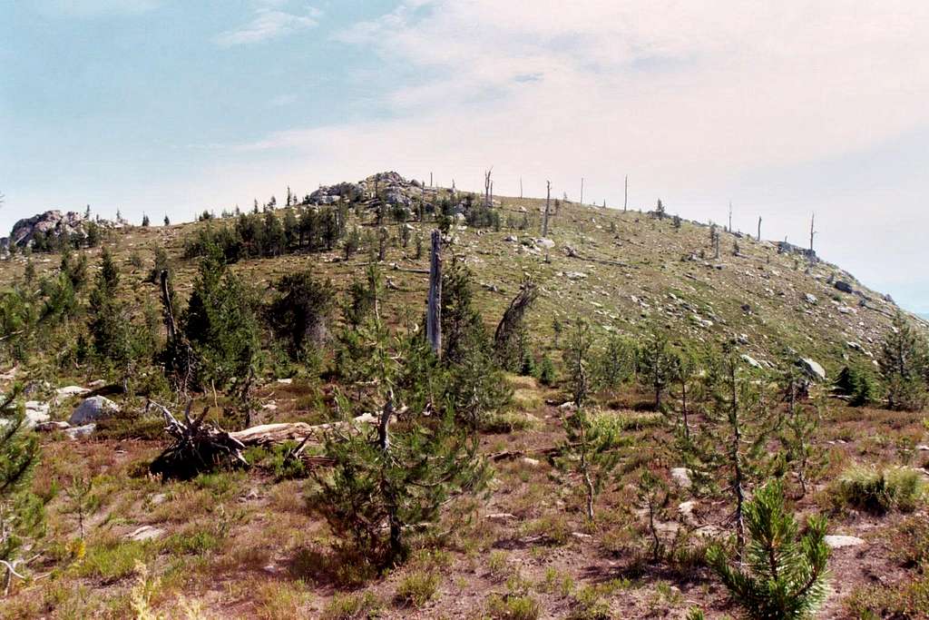 South Ridge Point of Big Fog Mountain