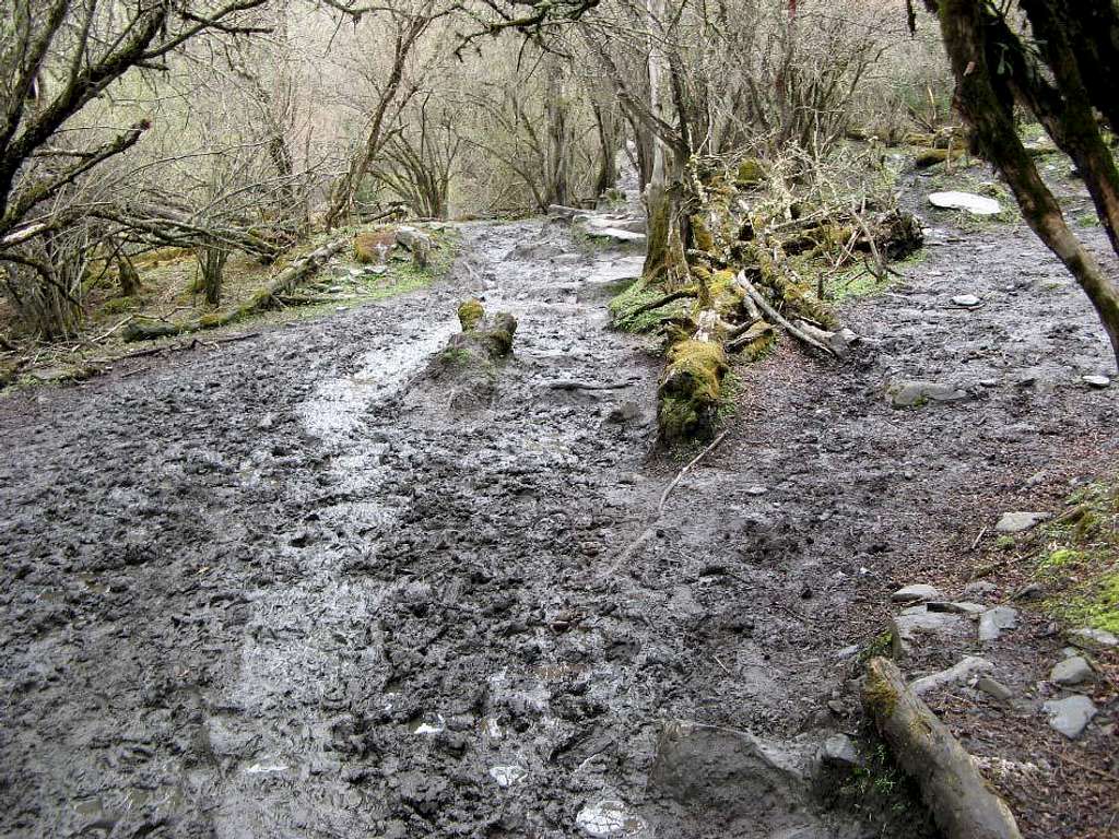 Trail of muck, Chang Ping Valley