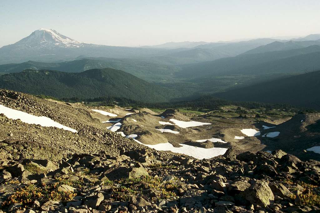 Mount Adams from Old Snowy