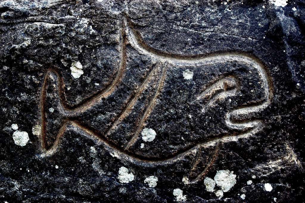 Petroglyph Olympic National Park